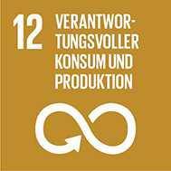 SDG%2012.jpg