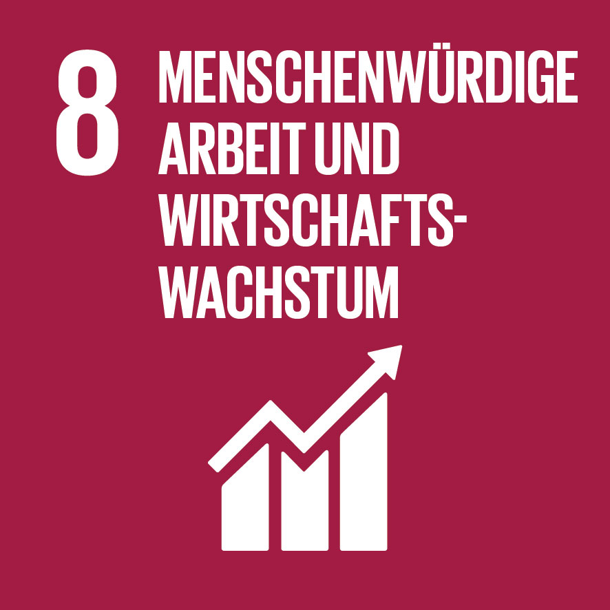 SDG%208-%20Menschenw%C3%BCrdige%20Arbeit%20%26%20Wachstum.jpg